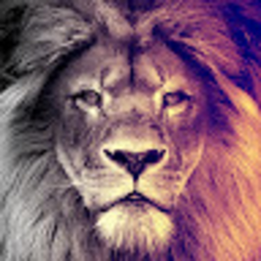 Meet your Posher, Japmeet